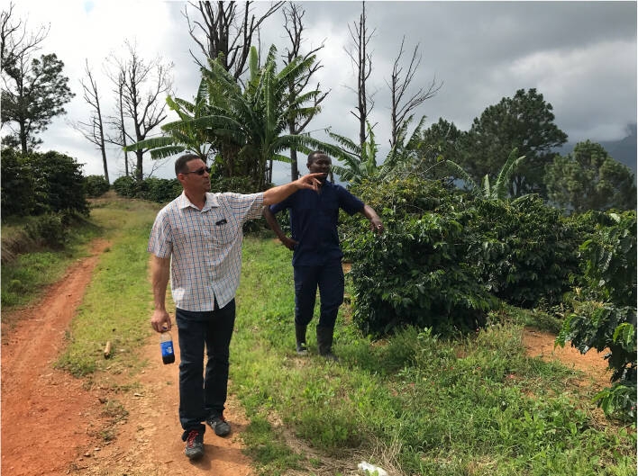 Jamaican Blue Mountain №1 - Café fresco em grão - 100 g