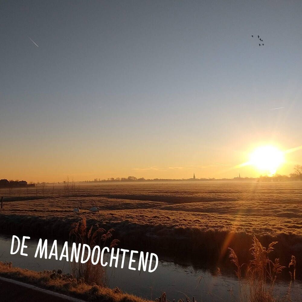 A vista do Café du Jour