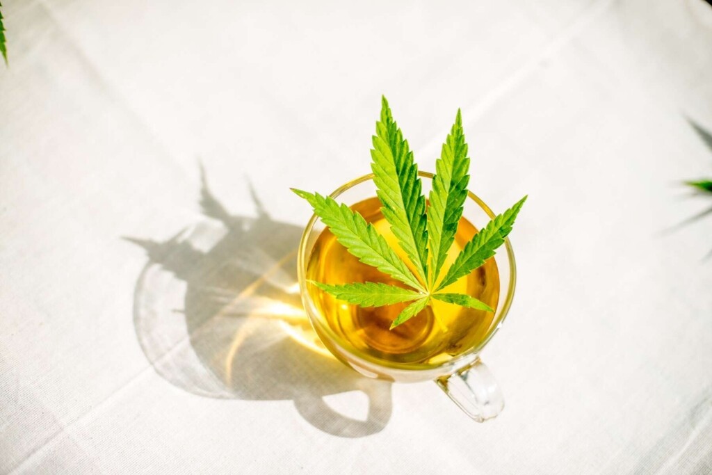 Simply Hemp - Chá de cânhamo puro 40 gr - Dutch Harvest chá a granel