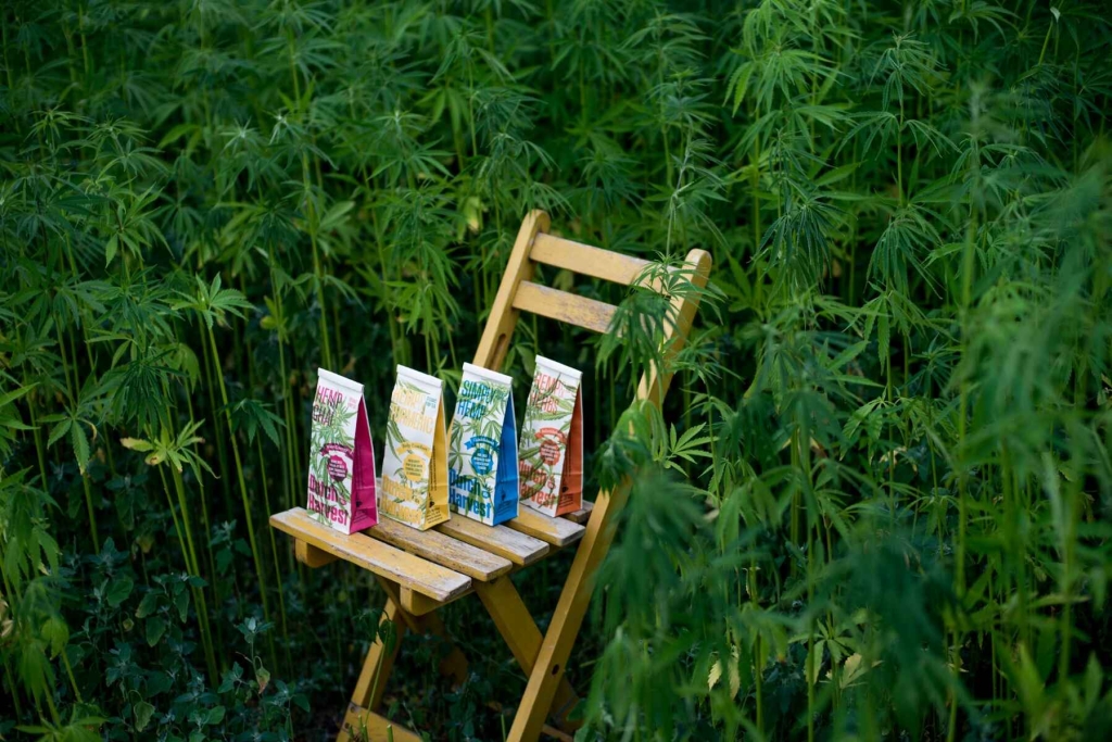 Hemp & Herbs - Mistura de Chá de Cânhamo e Ervas 40 gr - Dutch Harvest chá a granel