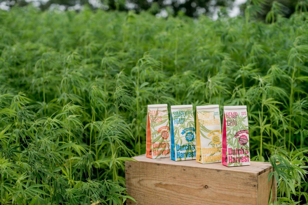 Hemp & Herbs - Mistura de Chá de Cânhamo e Ervas 40 gr - Dutch Harvest chá a granel