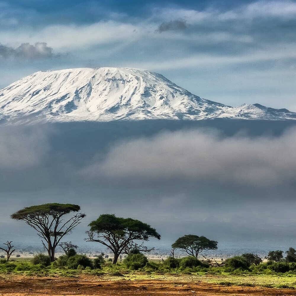 Café du Jour 100% arábica Tanzânia