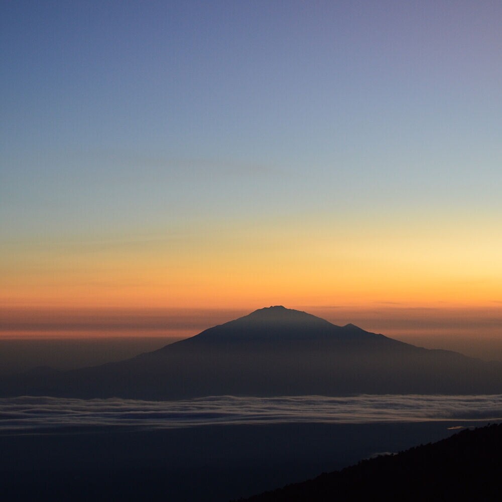 Café du Jour 100% arábica Tanzânia