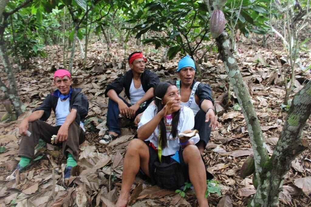 Millésime - Peru Speculoos - 55% chocolate de leite (Biológico)