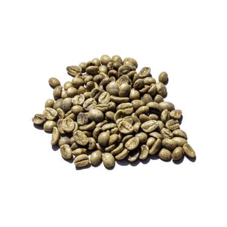 Nicarágua Arábica SHG - café não torrado em grão - 1 quilo