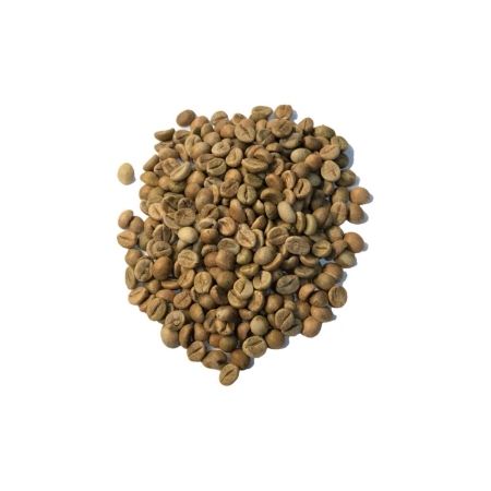 Índia Robusta Cereja AA Screen 18 - café não torrado em grão - 1 quilo