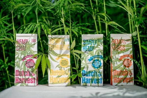 Cânhamo e curcuma - Chá de cânhamo e curcuma 50 gramas - Dutch Harvest chá a granel
